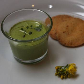 summer sebastiani asparagus soup winner